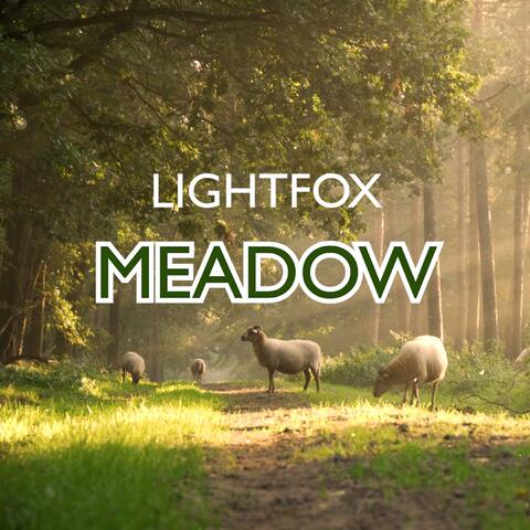 Meadow