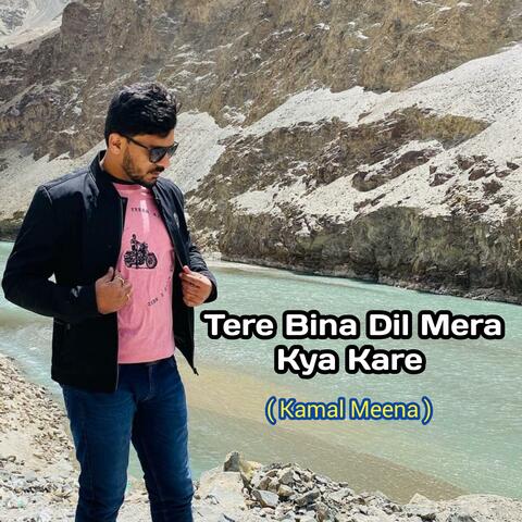 Tere Bina Dil Mera Kya Kare