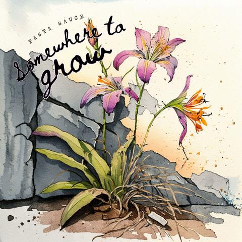 Somewhere to Grow