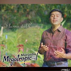 Flores del campo