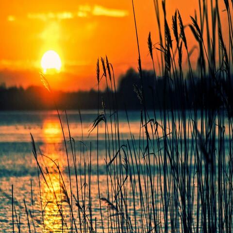 Lovely Night