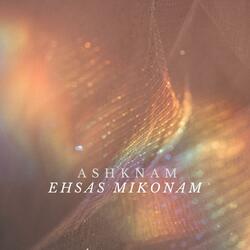Ehsas Mikonam