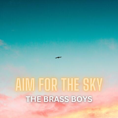 Aim For The Sky