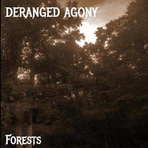 Forests (2023 Re-Release)