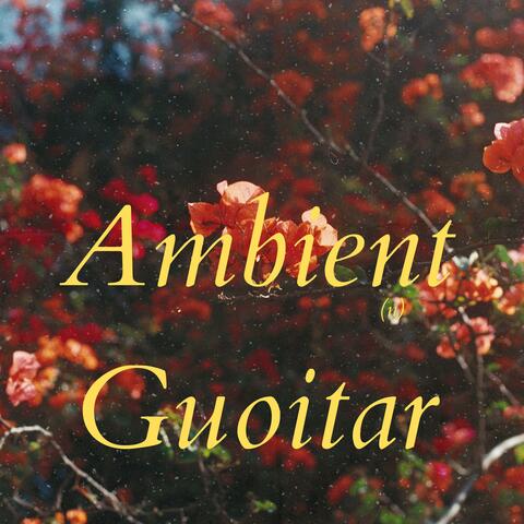 Ambient Guitar