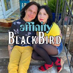 Blackbird