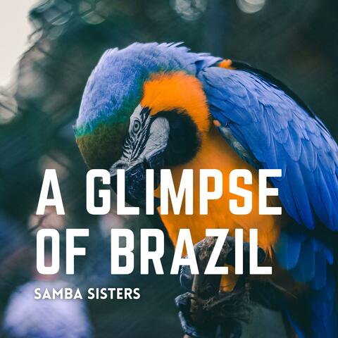 A Glimpse Of Brazil