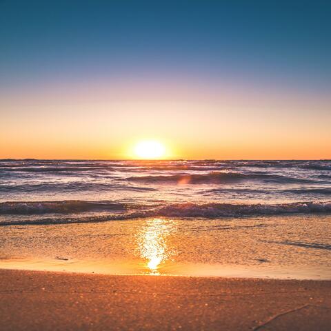 Waves Goodbye