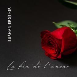 La fin de l'amour