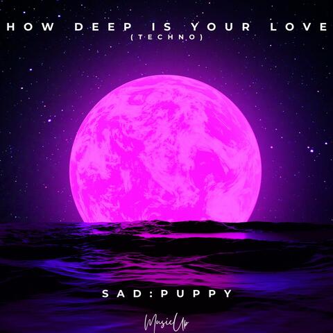 How Deep Is Your Love