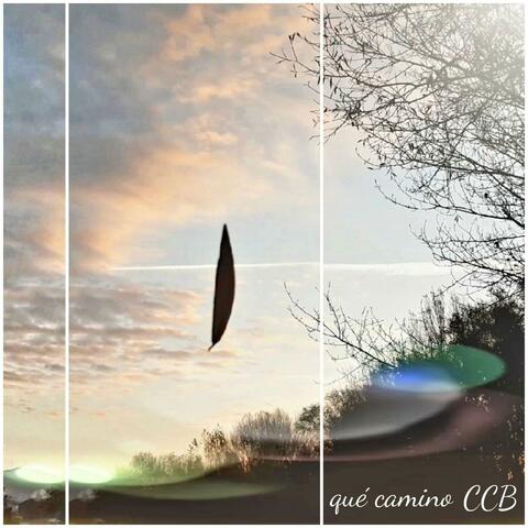 qué camino