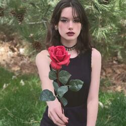 roses