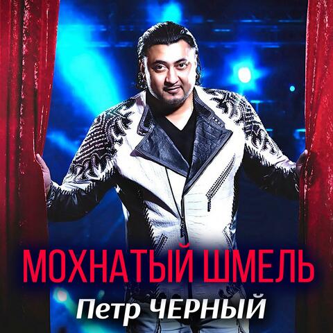 Мохнатый шмель