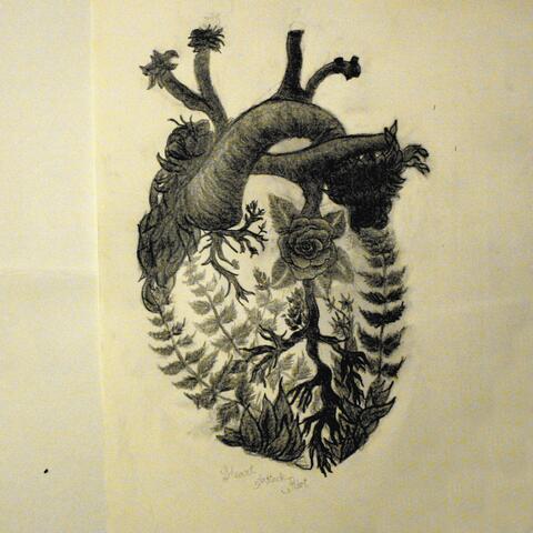 Heart Attack Riot
