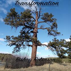 Through The Darkness Elation