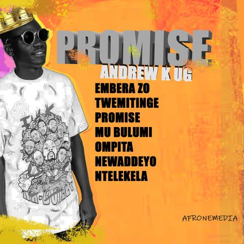 promise