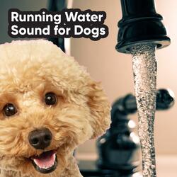 Tap Running