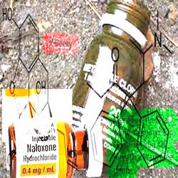 Metadone And Naloxone Acquired! (unHooking Drug Addicts That Want Freedom!)