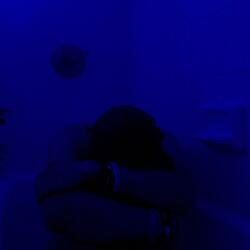 Don't Go