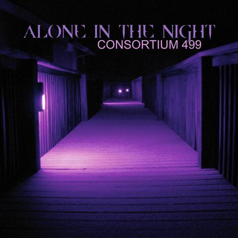 Alone in the Night