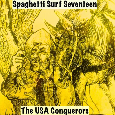 Spaghetti Surf Seventeen