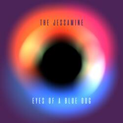 Eyes of a Blue Dog