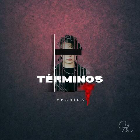 Términos