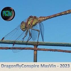 DRAGONFLYCONSPIRE