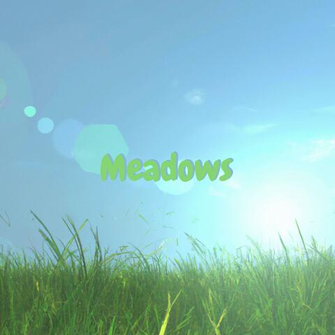 Meadows