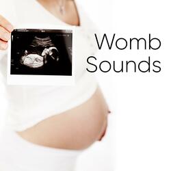 Womb Recording