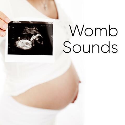 Womb Sounds
