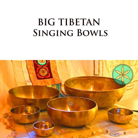 Big Tibetan Singing Bowls - Binaural Healing Meditation ॐ Theta Waves