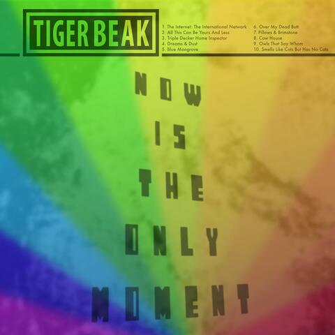 Now Is The Only Moment