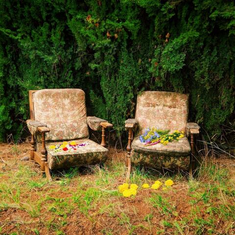 Flores y pompones