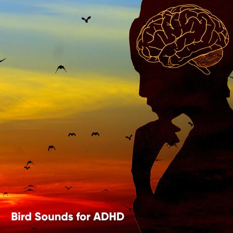 Bird Sounds for ADHD