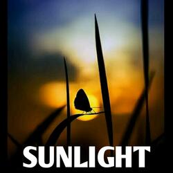 Sunlight