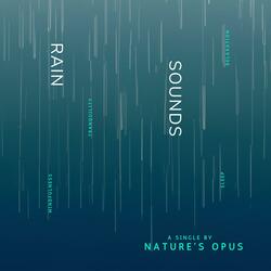 Rain Sounds