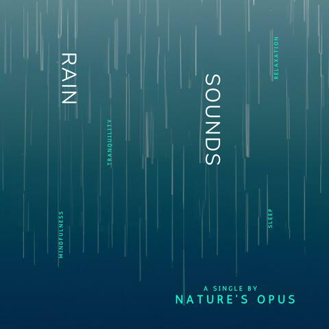 Rain Sounds