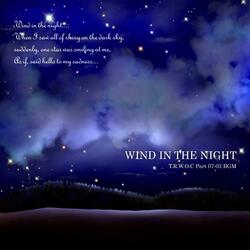 Wind In The Night