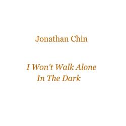 I Won't Walk Alone In The Dark