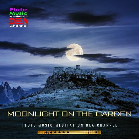 Moonlight on the garden
