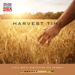 Harvest time