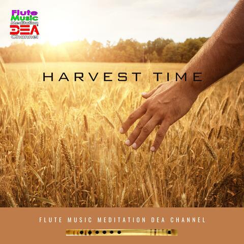 Harvest time