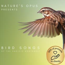 Bird Sounds of the Washington Inlets (Loopable, No Fade)