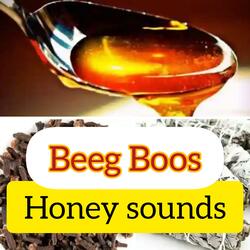 Beeg Boos Intro