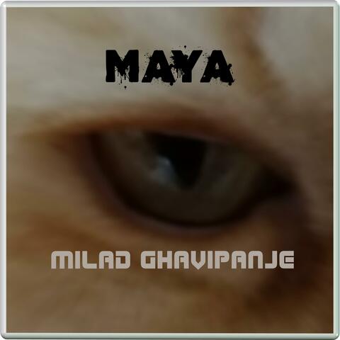 Maya