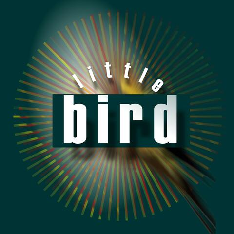 little bird