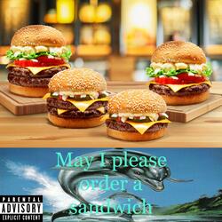 May I please order a sandwich
