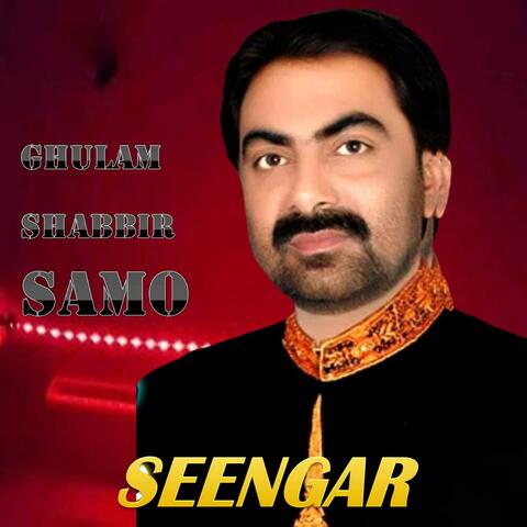 Seengar