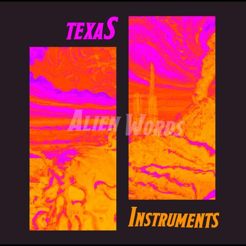 Texas Instruments